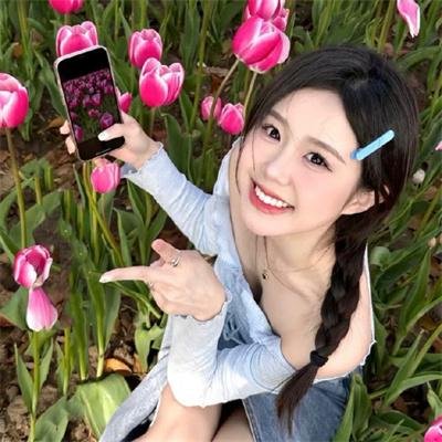 狐及其友